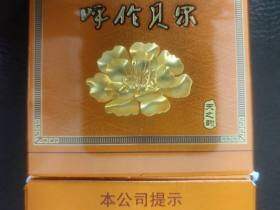 呼伦贝尔(天之韵)