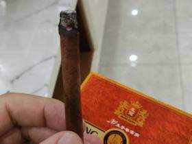 长城(迷你香草)