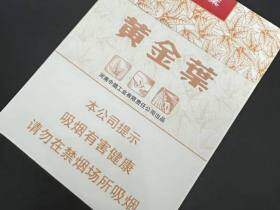 黄金叶(天叶中支)