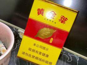 黄金叶(金满堂)