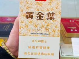 黄金叶(天叶中支)