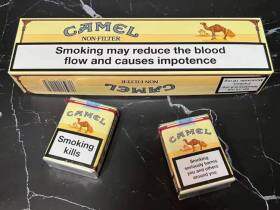 骆驼(无嘴欧盟版)