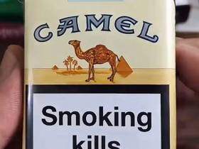 骆驼(无嘴欧盟版)