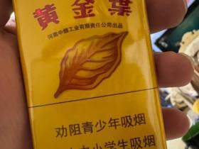 黄金叶(软大金圆)