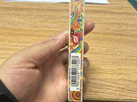 冬虫夏草(和润)