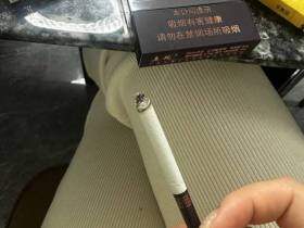 真龙(甲天下中支)