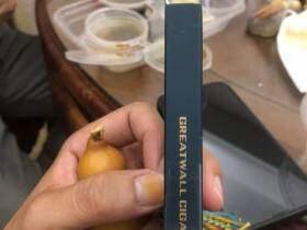 长城(132迷你3号)