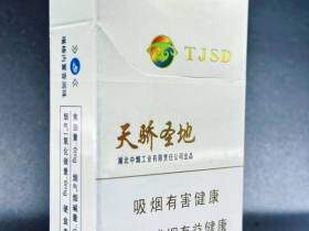 黄鹤楼(硬天骄圣地)