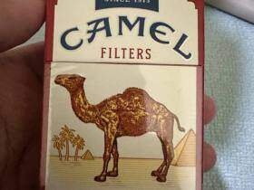 骆驼(硬黄土耳其.美国版)