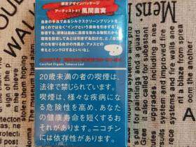 美国精神(绿松石日免版)