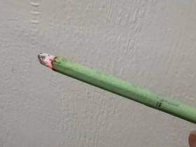 卡比龙(总裁抹茶绿亚太版)