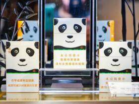 娇子(宽窄国宝)