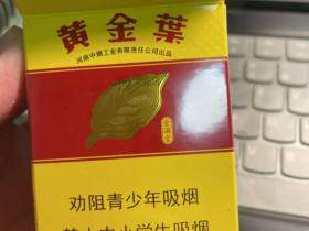 黄金叶(金满堂)