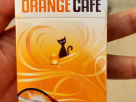 铁塔猫(橙子奶油)