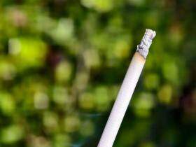 芙蓉王(硬闪带细支)