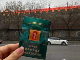 好猫(长安印象)