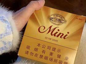 长城(迷你原味)