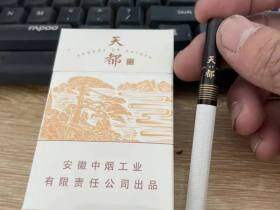 黄山(天都高山流水)