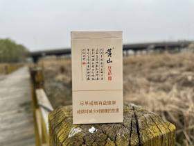 黄山(红方印细支)