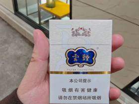 云烟(中支云龙)