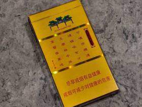 南京(金陵十二钗烤烟)