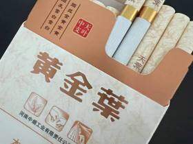 黄金叶(天叶中支)