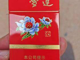 云烟(雪莲1960细支)