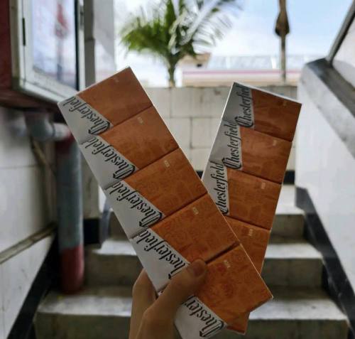 契斯特菲尔德(硬橙摩洛哥版)