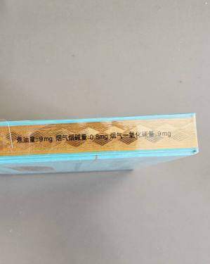 泰山(中海御叶双中支)