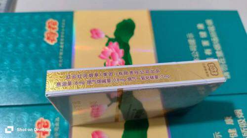 云烟(中支云龙)