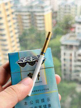 娇子(宽窄好运)