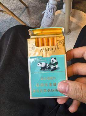 熊猫(硬经典新版)