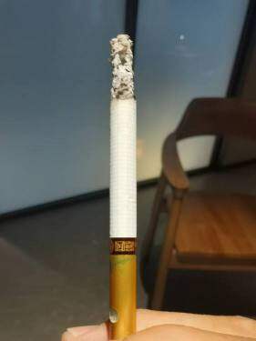 泰山(儒风双中支)