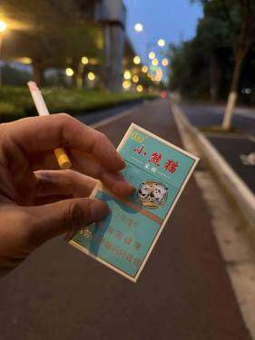 云烟(小熊猫家园)