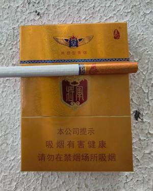 泰山(金将中支)