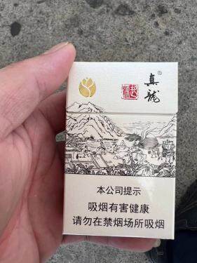 真龙(起源金花茶版)