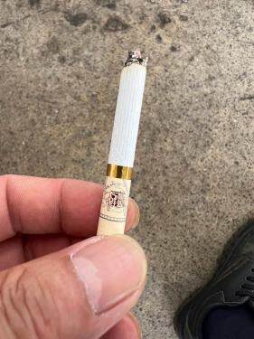 真龙(起源金花茶版)