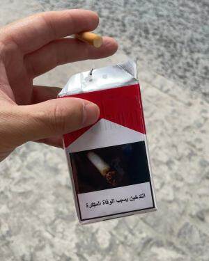 万宝路(软红迪拜完税CH码)