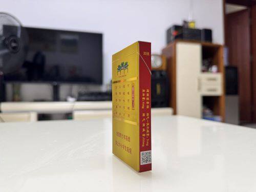 南京(金陵十二钗烤烟)