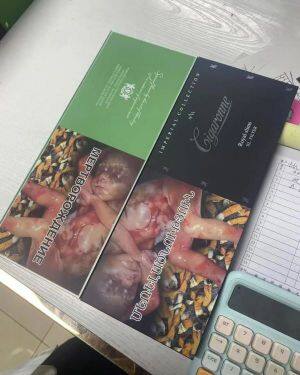 卡比龙(总裁抹茶绿俄罗斯版)