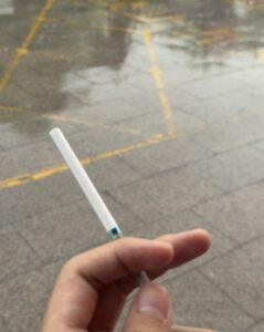 南京(金陵十二钗薄荷)