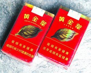 黄金叶(软红大金圆)