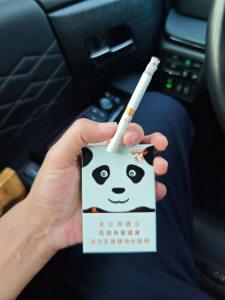 娇子(宽窄国宝)