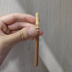 长城(醇雅奶香)