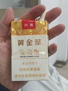 黄金叶(软天叶)