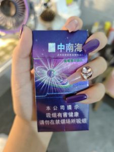 中南海(冰耀中支)