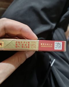 延安(中支红韵)
