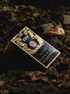 黄鹤楼(漫天游十年)