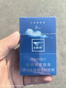 七匹狼(蓝)