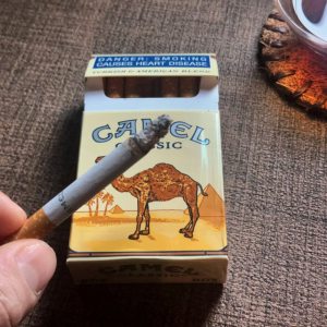 骆驼(硬黄南非含税版)